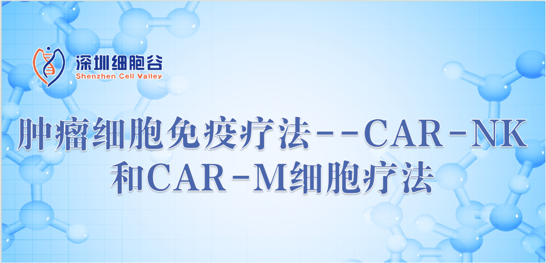 腫瘤細(xì)胞免疫療法--CAR-NK和CAR-M細(xì)胞療法