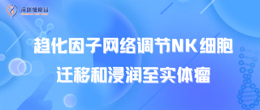 趨化因子網(wǎng)絡(luò)調(diào)節(jié)NK細(xì)胞遷移和浸潤(rùn)至實(shí)體瘤