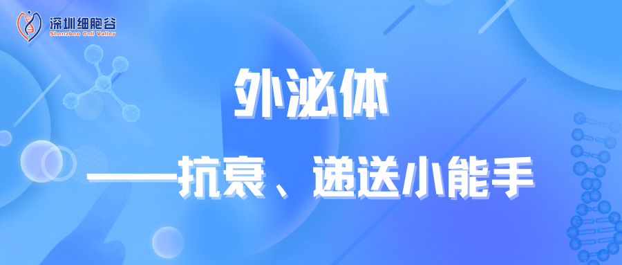 外泌體——抗衰、遞送小能手